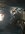 IMG_2825-compressed.jpeg
