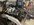 IMG_4747.jpeg