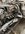 IMG_4762.jpeg