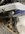 IMG_4811.jpeg