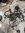 IMG_7547.jpeg