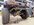 IMG_6670.jpeg