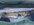 IMG_2849-compressed.jpeg