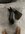 IMG_1872.jpeg