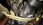 IMG_1868.jpeg