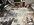 IMG_2969.jpeg