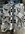 IMG_4591.jpeg