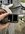 IMG_4594.jpeg