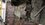 IMG_20260125_135910390_MP.jpg