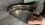 IMG_20260125_125056002_MP.jpg