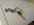 IMG_7245.jpeg