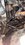 IMG_9110.jpeg