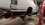 IMG_20260129_161603006_MP.jpg