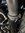 IMG_7585.jpeg