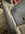 IMG_1904.jpeg