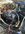 IMG_3319.jpeg