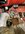 IMG_1912.jpeg