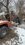 IMG_9149.jpeg
