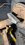 IMG_9152.jpeg
