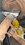 IMG_9153.jpeg