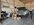 IMG_9138.jpeg