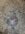 IMG_6761.jpeg