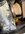 IMG_6755.jpeg