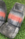 1770154232146.png