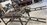 IMG_6073.jpeg