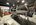 IMG_6075.jpeg