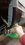 IMG_20260206_152050768_MP.jpg