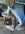 IMG_2970-compressed.jpeg