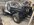 IMG_4906.jpeg
