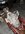 IMG_9158.jpeg
