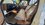 IMG_7774.jpeg