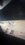 IMG_9222.jpeg