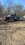 IMG_9227.jpeg