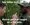 IMG_4654.jpeg