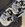 IMG_6962.jpeg