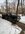 IMG_8600.jpeg