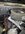IMG_8597.jpeg