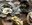 IMG_6969.jpeg