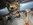 IMG_5115.jpeg