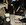 IMG_5112.jpeg