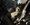 IMG_5111.jpeg