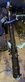 IMG_6978.jpeg