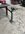 3D5EC273-7C06-4E45-B84E-BA0C658840D6.jpeg