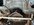 IMG_3036-compressed.jpeg