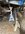 IMG_3035-compressed.jpeg