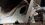 IMG_20260213_152558812_MP.jpg